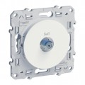 Odace Розетка спутник SAT (Белый) S52R446